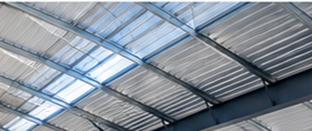 Steel roof and purlin structure