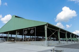 peb-steel-structure-dairy-farm-shed-m-siddique-sons.jpg